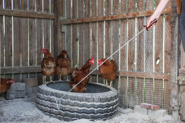 KERBL Fanghaken für Geflügel